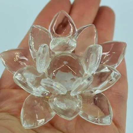 Floare de Lotus [3]
