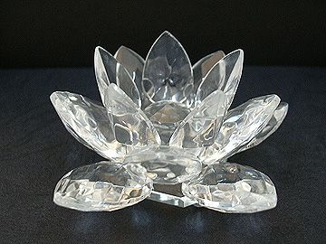 Floare de Lotus [5]