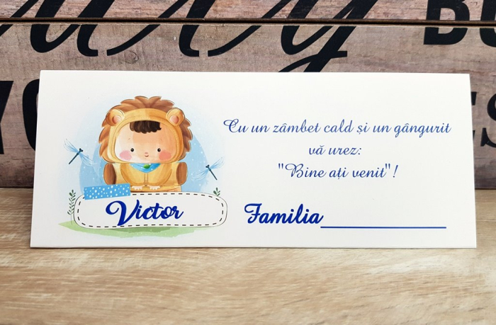 Plic de bani Baby Lion [2]
