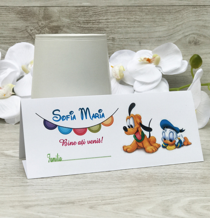 Plic de bani DONALD [3]