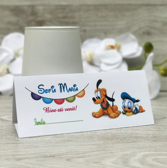 Plic de bani DONALD [4]