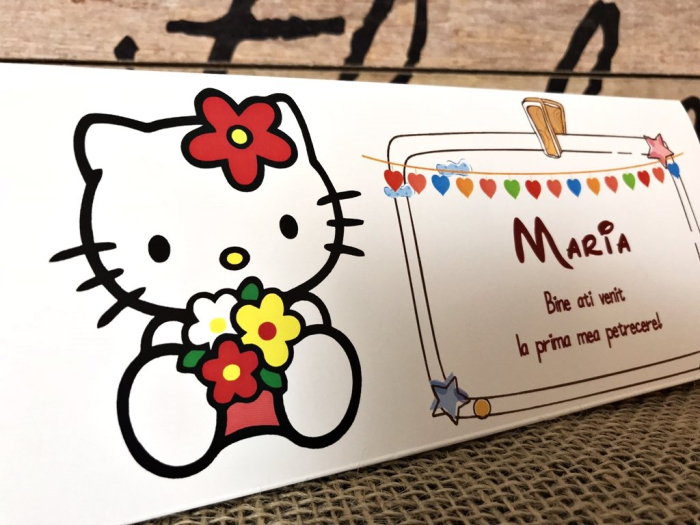 plic de bani HELLO KITTY [4]