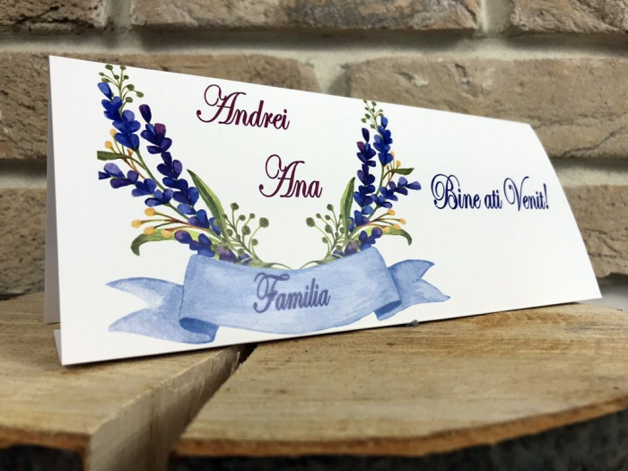 Plic de bani LAVANDA ACUARELA [2]