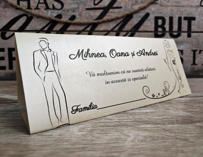 Plic de bani M10 - NUNTEZ [3]