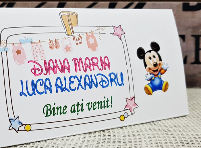 plic de bani Mikey & Minnie [2]