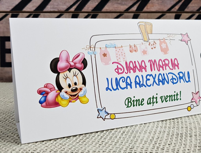 plic de bani Mikey & Minnie [3]