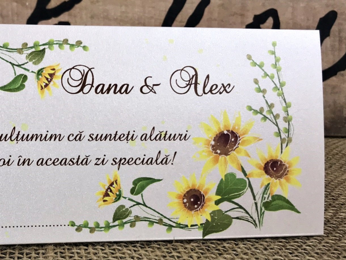 Plic de bani Floarea Soarelui [2]