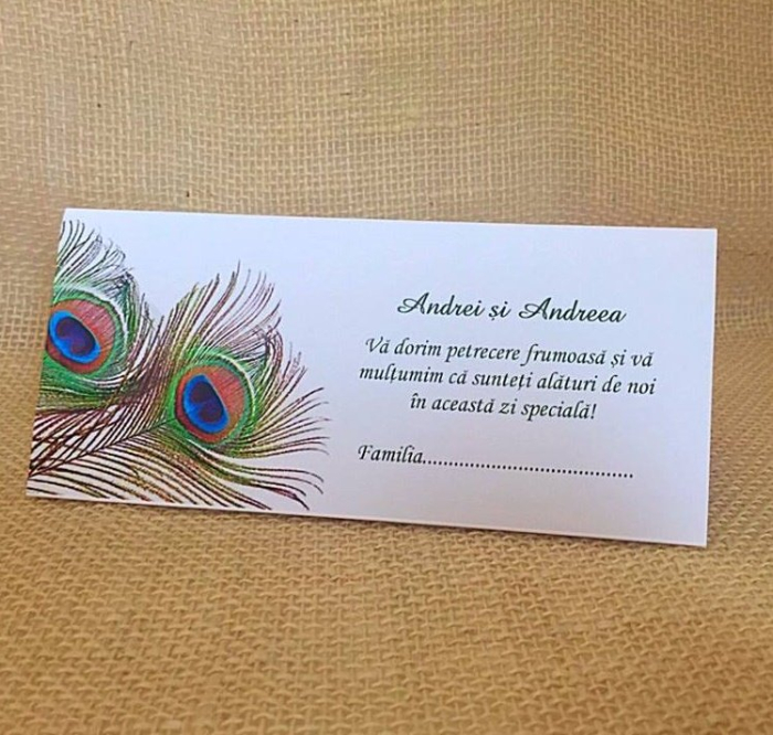 Plic de bani PENE [2]