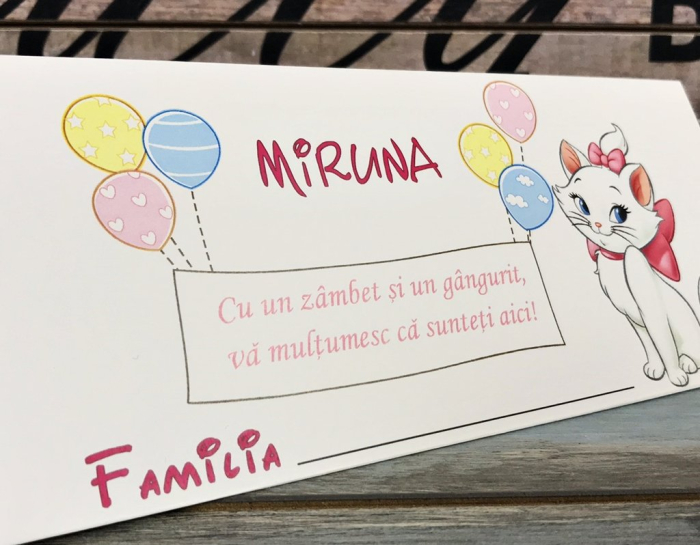 Plic de bani PISICUTA [3]