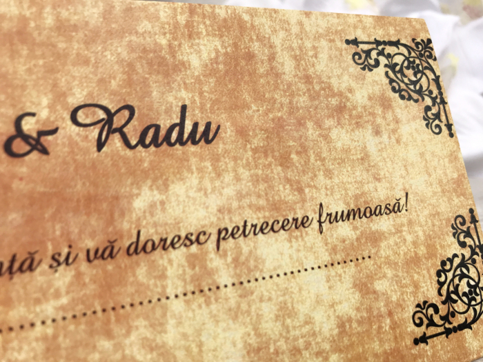 Plic de bani SHABBY CHIC [4]