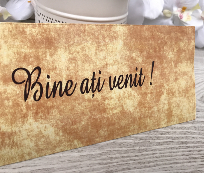 Plic de bani SHABBY CHIC [2]