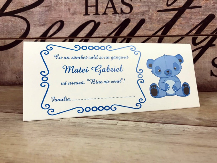 Plic de bani TEDDY BEAR [2]