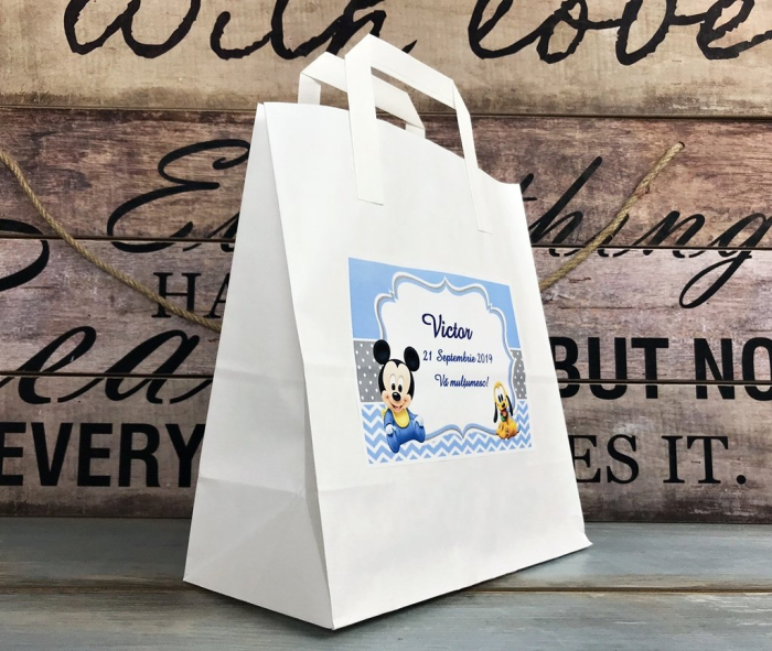 Punga botez Mickey & Pluto [2]