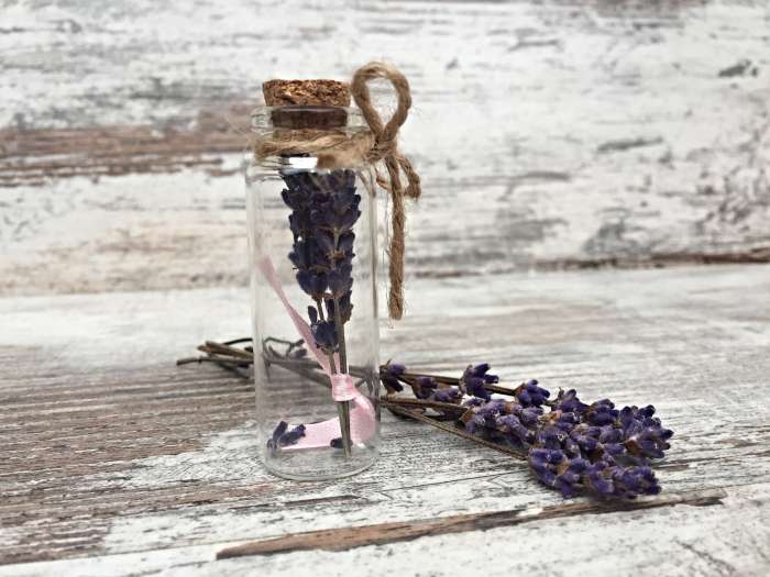 sticluta LAVANDA [2]