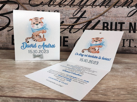 134 - Little Tiger [1]