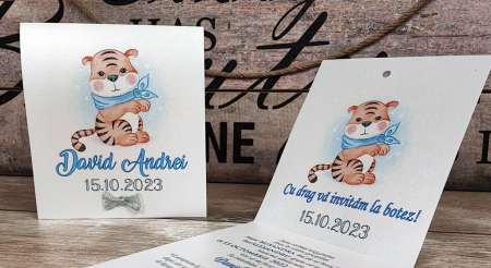 134 - Little Tiger [2]