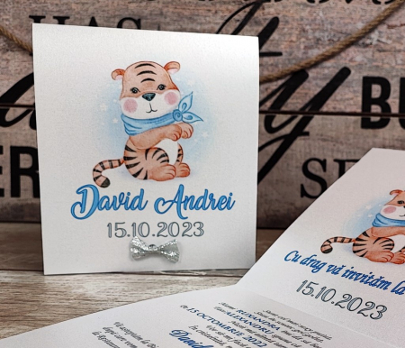 134 - Little Tiger [5]