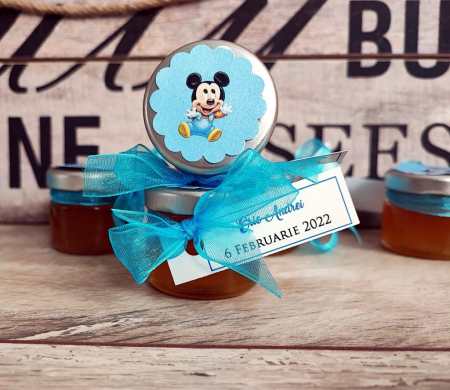 Borcanel miere Mickey Mouse [4]