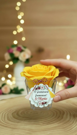 BOTEZ - Cadou 8 Martie Trandafiri din Sapun