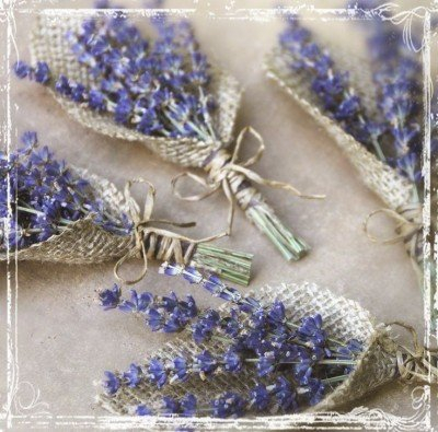 NUNTA - Corcarde naturale Lavanda