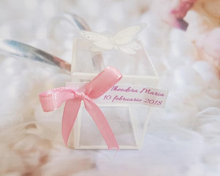 Cutie fluture (model transparent) [1]
