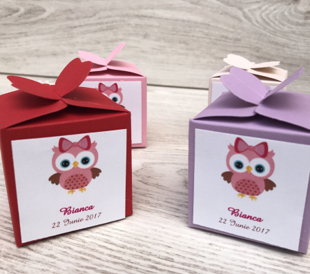 Cutiuta Micuta Bufnita [1]