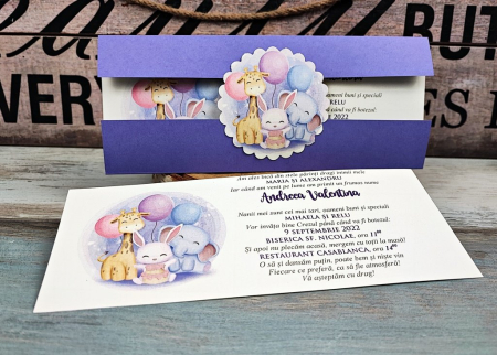 BOTEZ - Invitatie botez BABY RABBIT