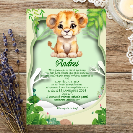 Invitatie Little Lion PM134 [6]