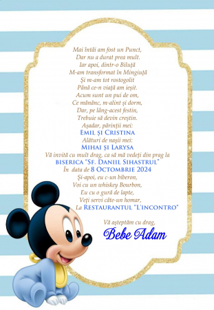 Invitatii digitale BOTEZ - Invitatie electronica PM68