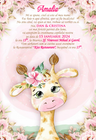 Invitatii digitale BOTEZ - Invitatie electronica PM111