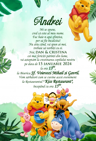 Invitatii digitale BOTEZ - Invitatie electronica PM112