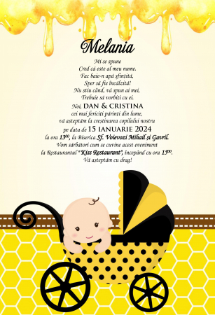 Invitatii digitale BOTEZ - Invitatie electronica PM116