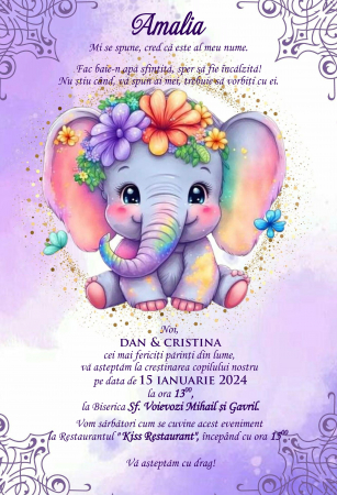 Invitatii digitale BOTEZ - Invitatie electronica PM119