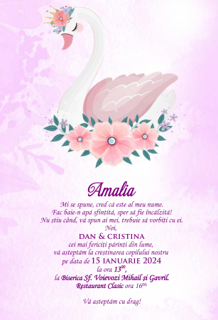 Invitatii digitale BOTEZ - Invitatie electronica PM118