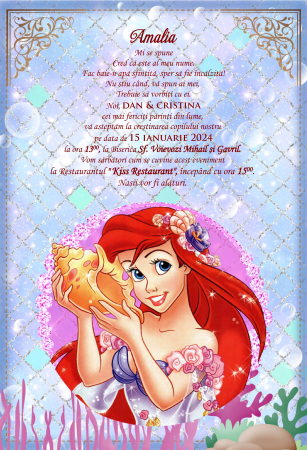 Invitatii digitale BOTEZ - Invitatie electronica PM127