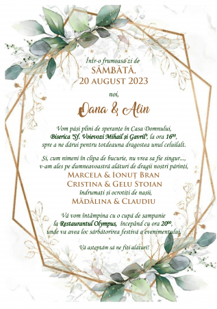 Invitatii nunta DIGITALE - Invitatie electronica PM129