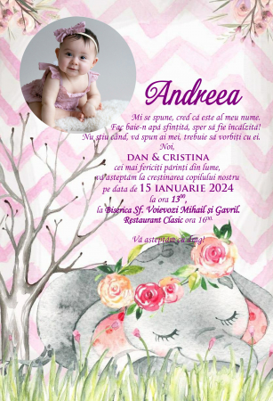 Invitatii digitale BOTEZ - Invitatie electronica PM138
