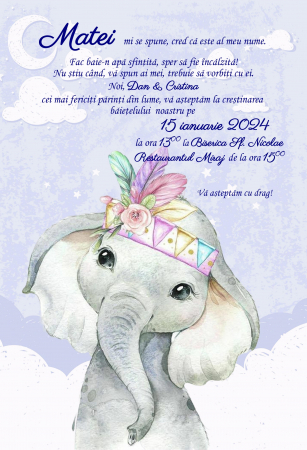 Invitatii digitale BOTEZ - Invitatie electronica PM160