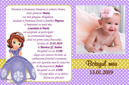 Invitatie electronica PM12