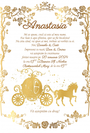 Invitatii digitale BOTEZ - Invitatie electronica PM163