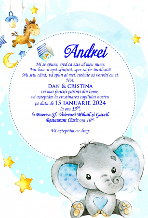 Invitatii digitale BOTEZ - Invitatie electronica PM165