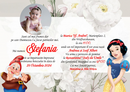 Invitatii digitale BOTEZ - Invitatie electronica PM166