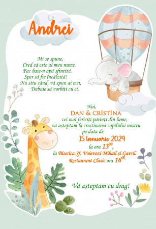 Invitatii digitale BOTEZ - Invitatie electronica PM168