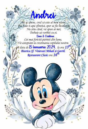 Invitatii digitale BOTEZ - Invitatie electronica PM173