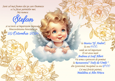 Invitatii digitale BOTEZ - Invitatie electronica PM175