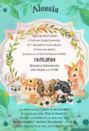 Invitatii digitale BOTEZ - Invitatie electronica PM178