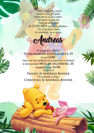 Invitatii digitale BOTEZ - Invitatie electronica PM5184
