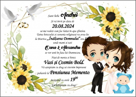 Invitatii digitale BOTEZ - Invitatie electronica PM182