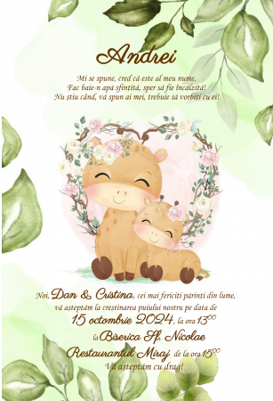 Invitatii digitale BOTEZ - Invitatie electronica PM190 - Copie