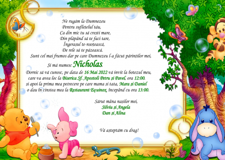 Invitatie electronica WINNIE THE POOH